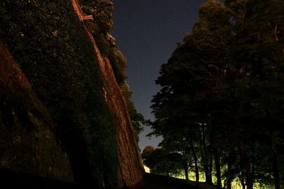 Low angle view of trees against clear sky at night