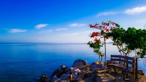 Scenic view of sea against blue sky