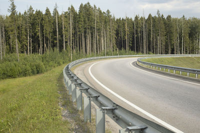 Road amidst trees in forest