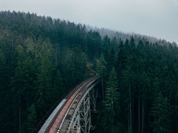 High angle view of bridge amidst forest