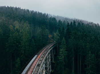 High angle view of trees in forest against sky