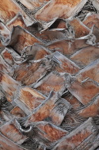 Full frame shot of metal