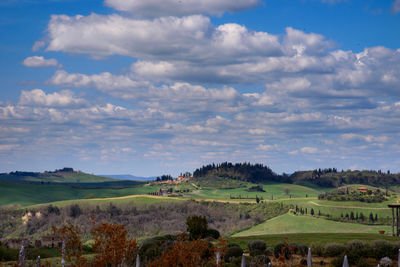 Scenic view of agricultural field against sky