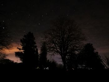 Silhouette trees against sky at night