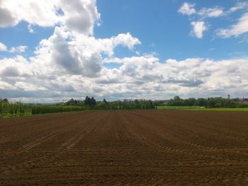 Scenic view of agricultural field against sky