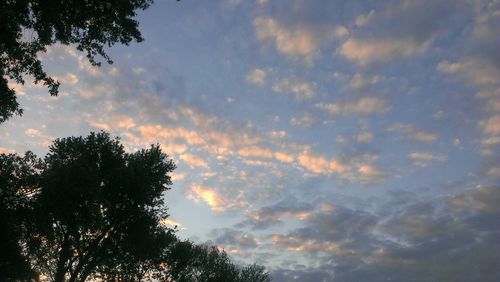 Low angle view of trees against cloudy sky