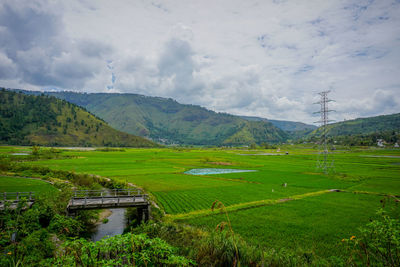 Scenic view of agricultural field against sky