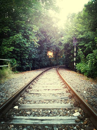 Railroad track in forest