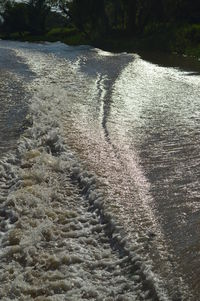 High angle view of river flowing through forest