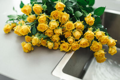 A bouquet of yellow garden roses in the kitchen sink.