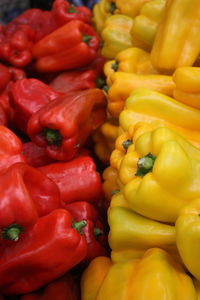 Close-up of bell peppers for sale in market