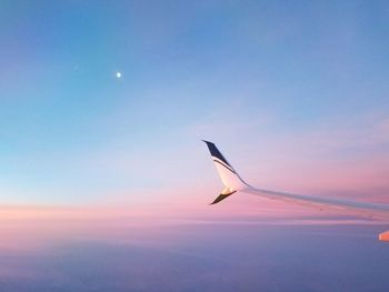 Bird flying in sky