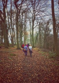 Rear view of people walking on road in forest