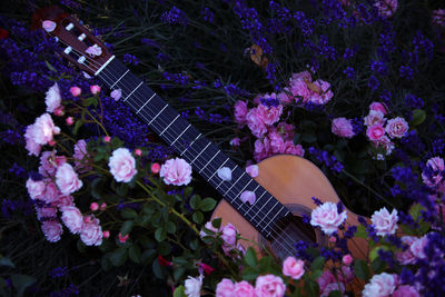 Directly above shot of acoustic guitar amidst flowers blooming on field