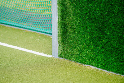 Close-up of hedge by goal post