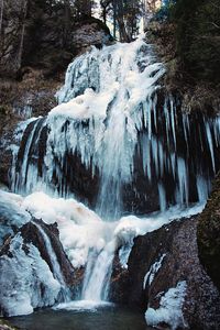 Scenic view of waterfall in forest