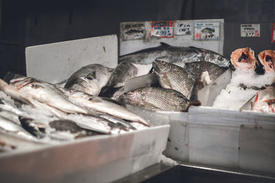 Close-up of fishes on market stall