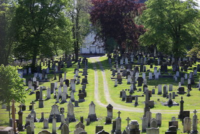 Panoramic view of cemetery