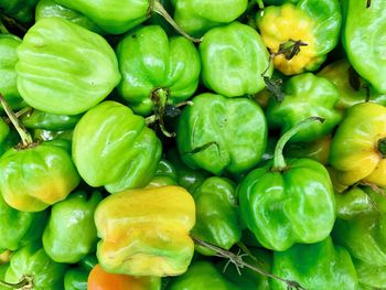 Full frame shot of bell peppers for sale in market