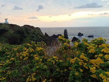 Scenic view of sea against sky during sunset