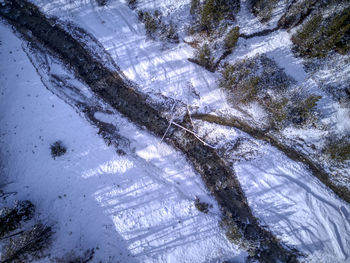 High angle view of trees during winter