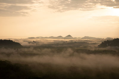 Beautiful morning view of the mountain forest in fog