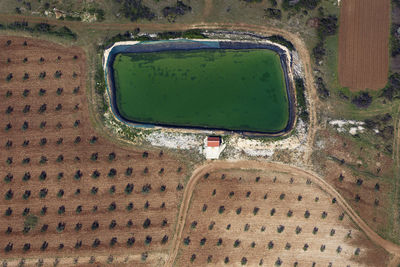 Aerial view of fertile fields in zadar region near adriatic coast