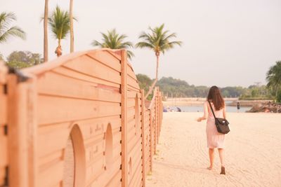 Woman standing by palm trees on beach against sky