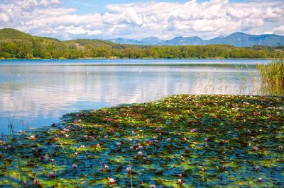 Scenic view of lake against cloudy sky