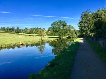 Scenic view of lake by trees against blue sky