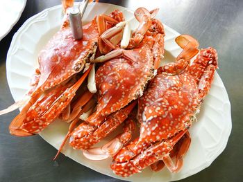 High angle view of crabs in plate