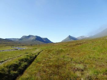 Scenic view of grassy field against clear sky