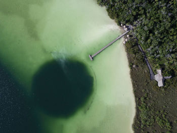 High angle view of trees in water