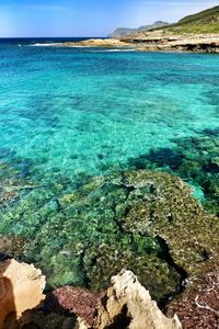 Scenic view of sea against blue sky
