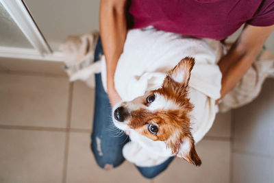 High angle view of dog sitting on floor at home