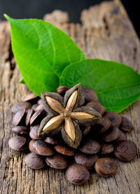 Close-up of fresh green leaves on table