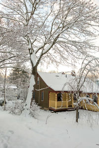 Snow covered house and tree by building during winter