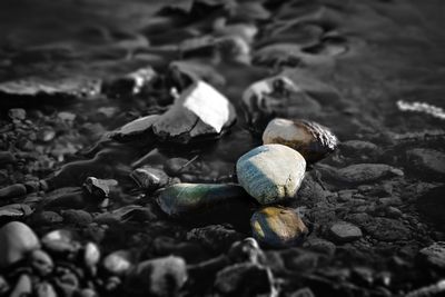 Close-up of seashells on pebbles at beach