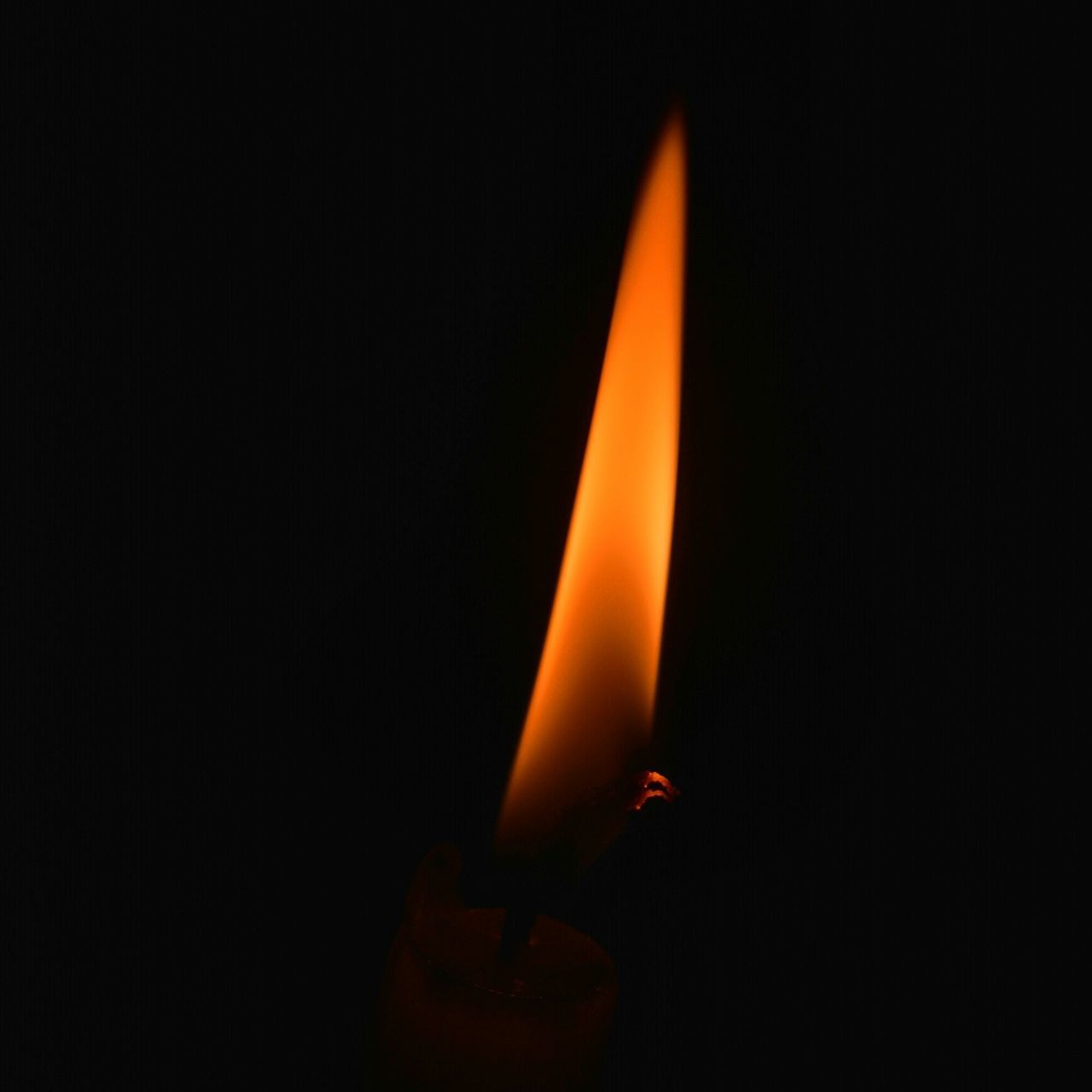 bedadyuti chakravorty