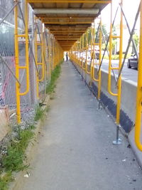 Narrow road along trees