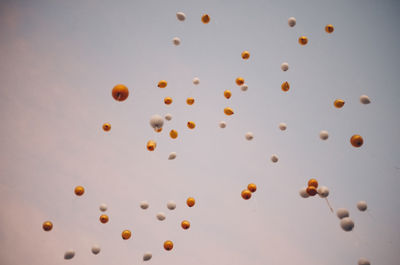 Low angle view of multi colored balloons against sky