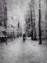 Rear view of people walking on road in forest