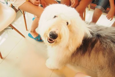 Close-up of woman with dog