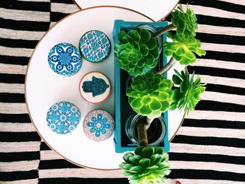 High angle view of potted plant on table