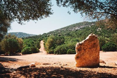 View of landscape with mountain in background