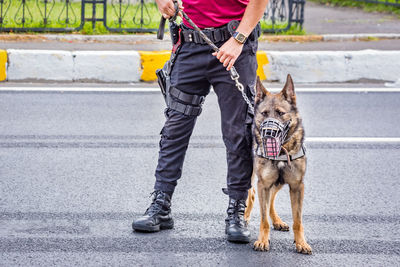 Low section of person with dog on road