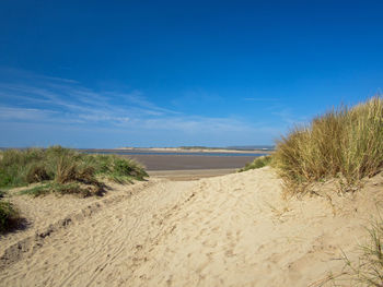 Beautiful sand dunes of instow beach on the north devon coast of england 