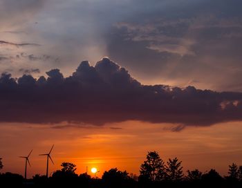 Silhouette of trees at sunset