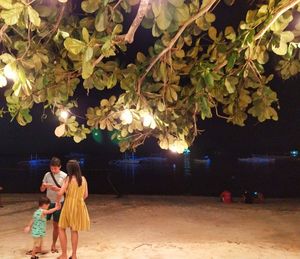 People standing by illuminated tree at night