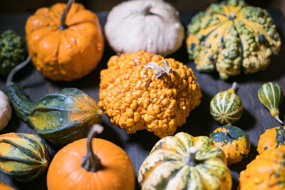 High angle view of pumpkins in market